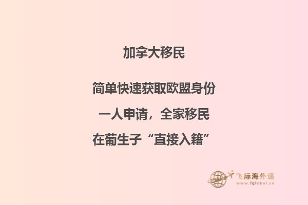 加拿大楓葉卡好拿嗎？本文告訴你答案！