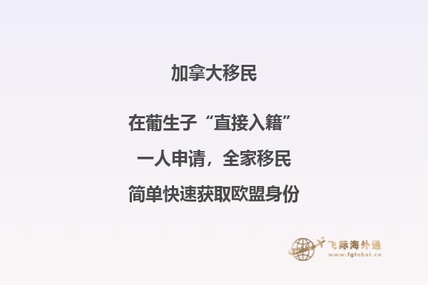 加拿大聯(lián)邦技術(shù)移民費用！與投資移民相比，竟然這要這么點！