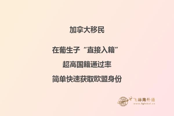 加拿大最受歡迎的專業(yè)，你選對(duì)專業(yè)了嗎？