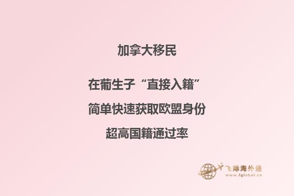 加拿大魁省投資移民適合哪些人，申請周期要多久？
