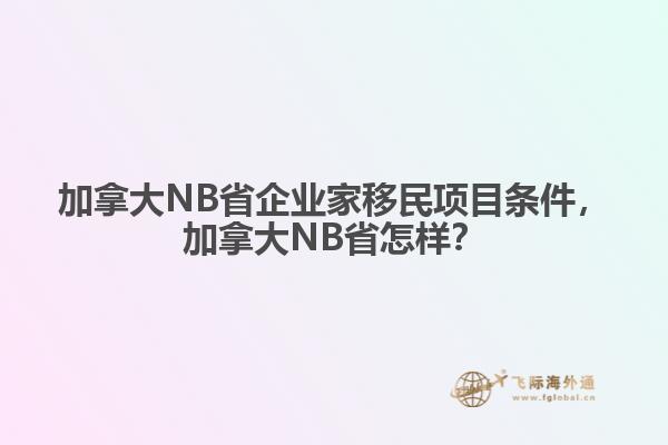 加拿大NB省企業(yè)家移民項(xiàng)目條件，加拿大NB省怎樣？