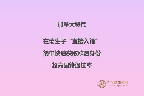 加拿大魁省投資移民需要多少錢，移民政策是什么？