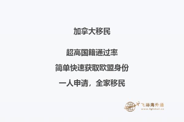 加拿大NB省企業(yè)家移民申請條件，優(yōu)勢怎么樣？