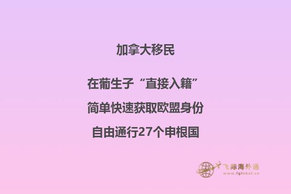 加拿大安省技術(shù)移民項(xiàng)目，哪種方式更適合你？