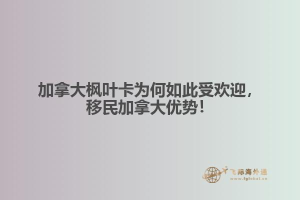 加拿大楓葉卡為何如此受歡迎，移民加拿大優(yōu)勢！