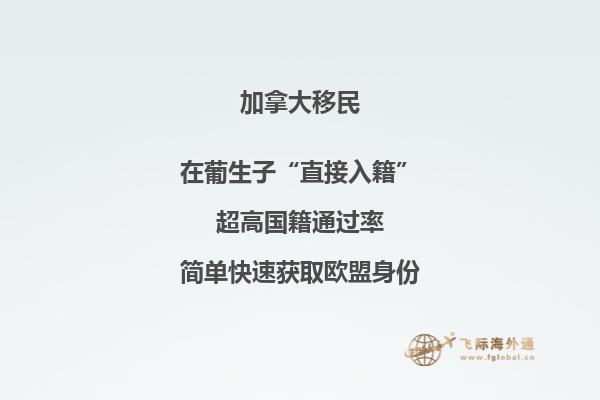加拿大投資移民有幾種，你適合哪一種?