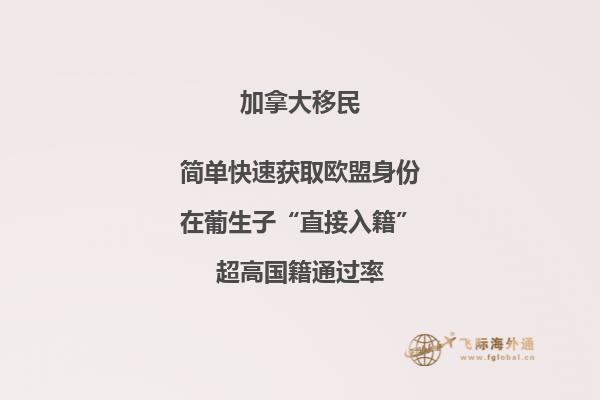 如何申請(qǐng)英國留學(xué)項(xiàng)目