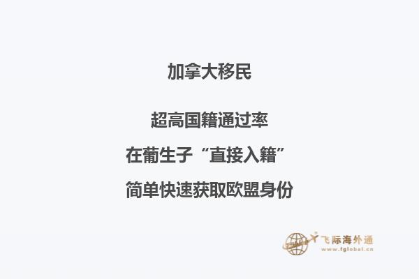 加拿大安省技術(shù)移民申請條件，流程復(fù)雜嗎？