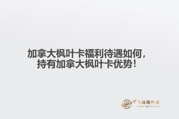 加拿大楓葉卡福利待遇如何，持有加拿大楓葉卡優(yōu)勢(shì)！