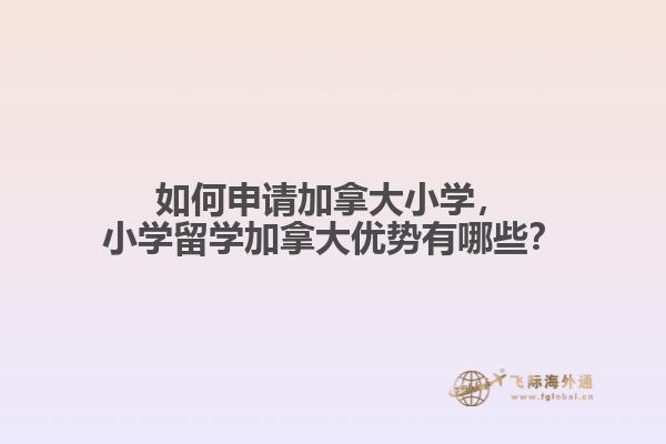 如何申請加拿大小學，小學留學加拿大優(yōu)勢有哪些？