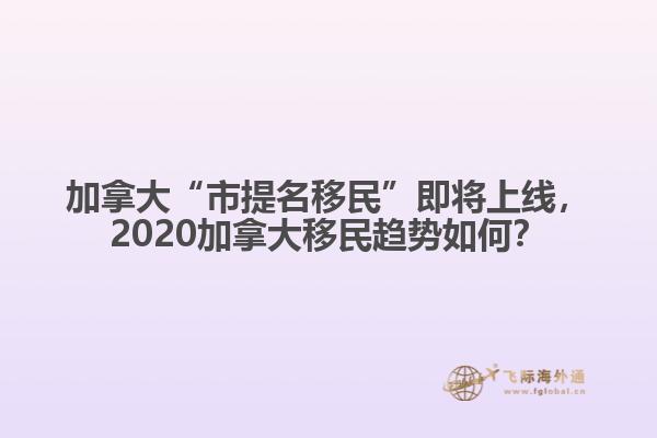 加拿大“市提名移民”即將上線，2020加拿大移民趨勢(shì)如何？
