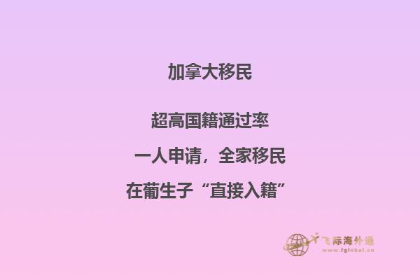 加拿大“市提名移民”即將上線，2020加拿大移民趨勢(shì)如何？
