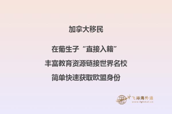 加拿大投資移民風(fēng)險(xiǎn)匯總，要避開哪些陷阱？ 