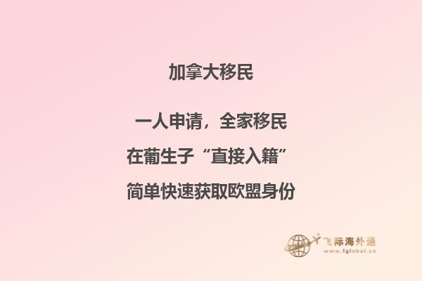 選擇溫哥華還是多倫多，移民加拿大華人更愛哪個？