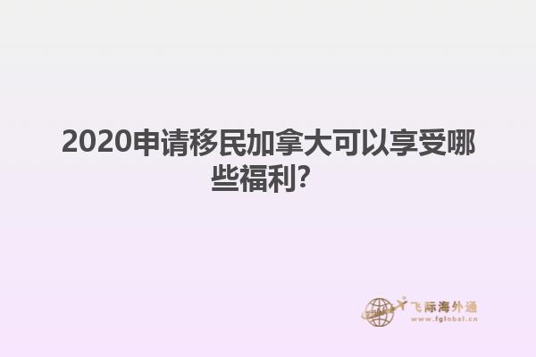 2020申請移民加拿大可以享受哪些福利？