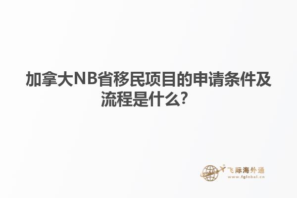 加拿大NB省移民項目的申請條件及流程是什么？