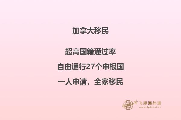 接到移民局背調(diào)電話怎么辦，如何輕松應(yīng)對移民局電話調(diào)查