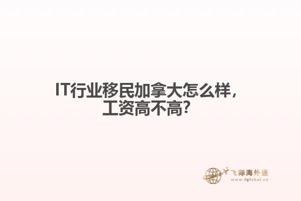 IT行業(yè)移民加拿大怎么樣，工資高不高？