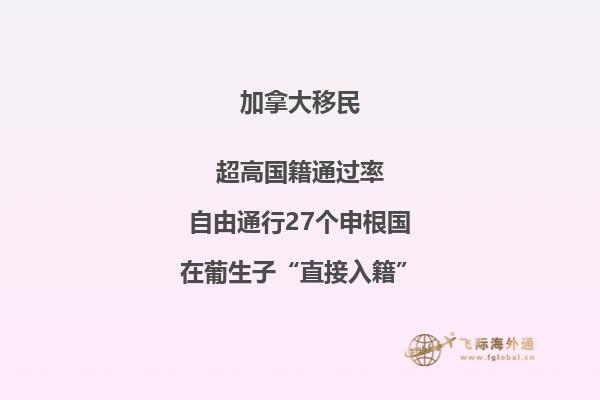 美國辦理加拿大旅游簽證如何辦理？