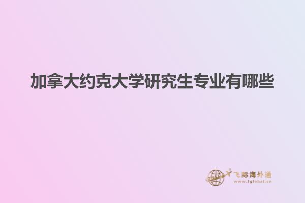 加拿大約克大學研究生專業(yè)有哪些