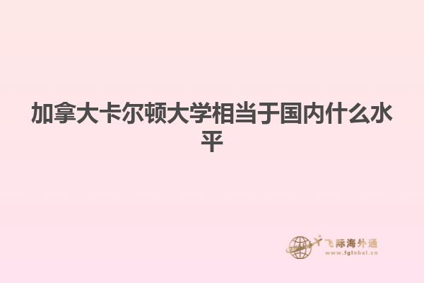 加拿大卡爾頓大學相當于國內什么水平