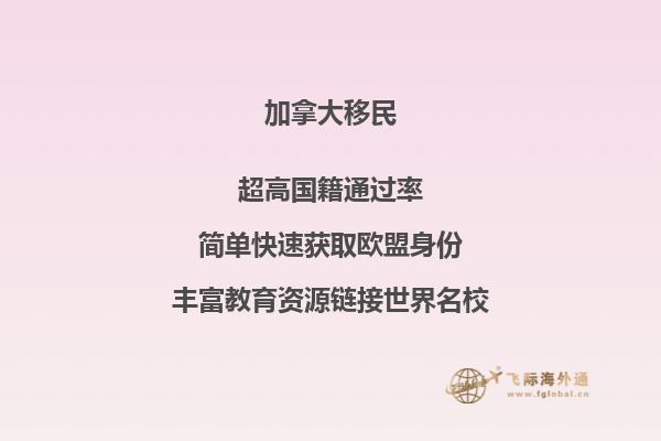 加拿大卡爾頓大學相當于國內什么水平
