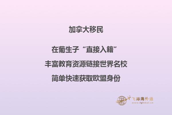 2023年加拿大旅游簽證通過(guò)率