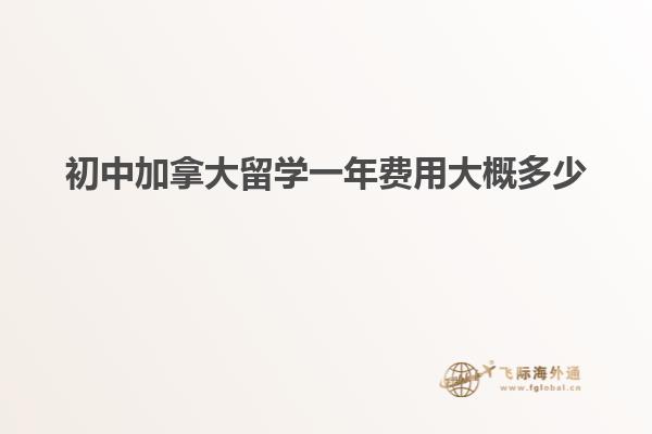 初中加拿大留學(xué)一年費用大概多少