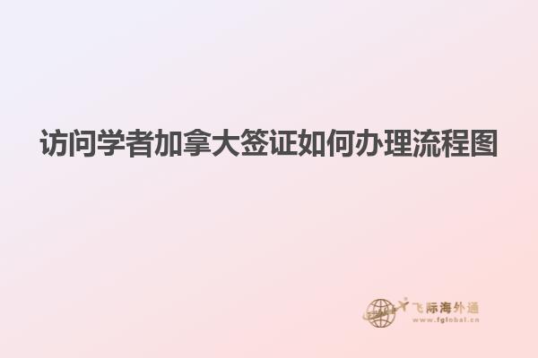 訪問(wèn)學(xué)者加拿大簽證如何辦理流程圖