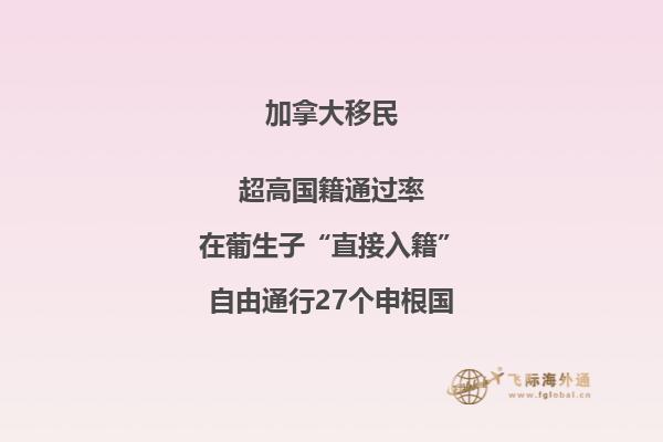 加拿大有哪些主流移民項(xiàng)目？