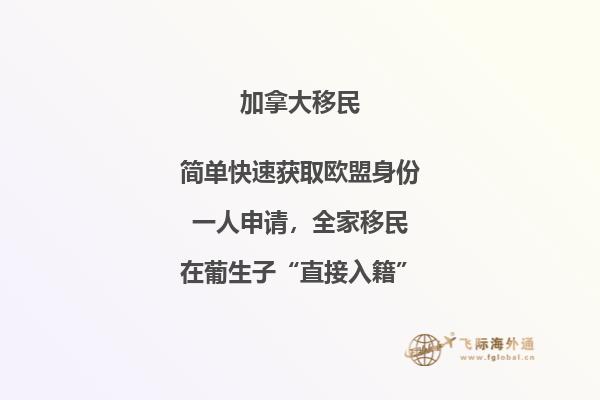 加拿大SUV移民條件，暢享加國自由與豪華！