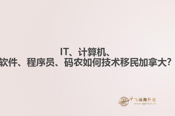 IT、計(jì)算機(jī)、軟件、程序員、碼農(nóng)如何技術(shù)移民加拿大？