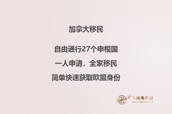 IT、計(jì)算機(jī)、軟件、程序員、碼農(nóng)如何技術(shù)移民加拿大？