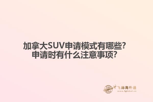 加拿大SUV申請模式有哪些？申請時有什么注意事項？