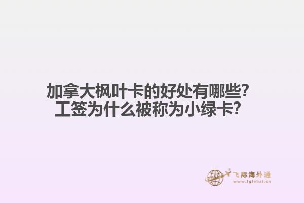 加拿大楓葉卡的好處有哪些？工簽為什么被稱為小綠卡？