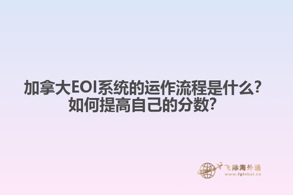 加拿大EOI系統(tǒng)的運作流程是什么？如何提高自己的分數(shù)？