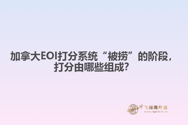 加拿大EOI打分系統(tǒng)“被撈”的階段，打分由哪些組成？