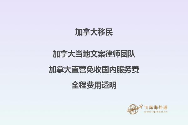 疫情對加拿大移民有何影響？如何應(yīng)對？