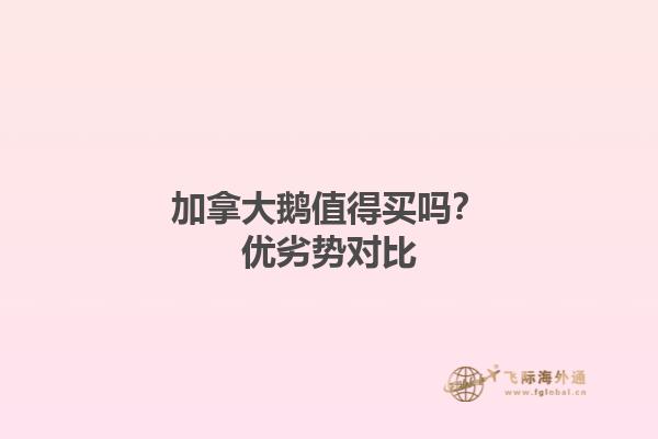 加拿大鵝值得買嗎？優(yōu)劣勢對比
