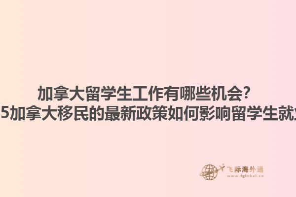 加拿大留學(xué)生工作有哪些機(jī)會(huì)？2025加拿大移民的最新政策如何影響留學(xué)生就業(yè)？