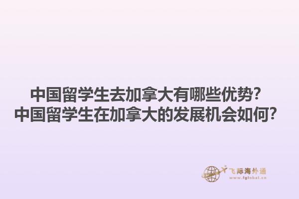 中國留學(xué)生去加拿大有哪些優(yōu)勢？中國留學(xué)生在加拿大的發(fā)展機(jī)會(huì)如何？