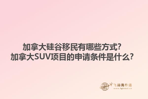 加拿大硅谷移民有哪些方式？加拿大SUV項(xiàng)目的申請(qǐng)條件是什么？
