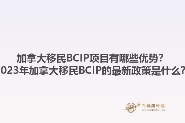 加拿大移民BCIP項目有哪些優(yōu)勢？2023年加拿大移民BCIP的最新政策是什么？1.jpg