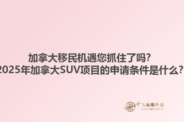 加拿大移民機遇您抓住了嗎？2025年加拿大SUV項目的申請條件是什么？