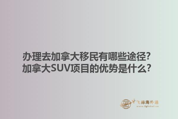 辦理去加拿大移民有哪些途徑？加拿大SUV項(xiàng)目的優(yōu)勢(shì)是什么？