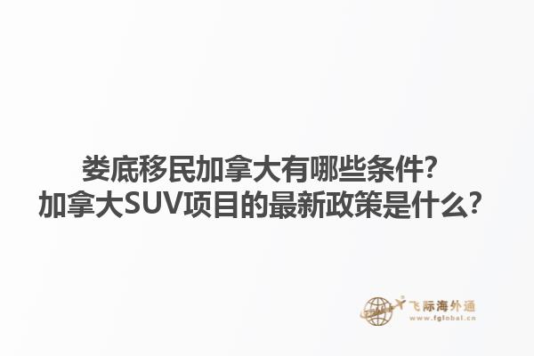 婁底移民加拿大有哪些條件？加拿大SUV項(xiàng)目的最新政策是什么？