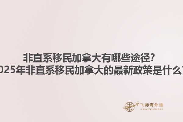非直系移民加拿大有哪些途徑？2025年非直系移民加拿大的最新政策是什么？