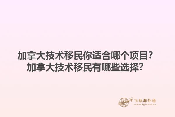 加拿大技術(shù)移民你適合哪個項目？加拿大技術(shù)移民有哪些選擇？1.jpg