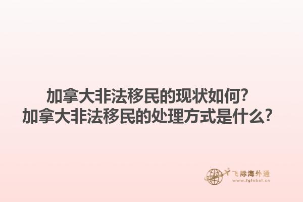 加拿大非法移民的現(xiàn)狀如何？加拿大非法移民的處理方式是什么？1.jpg