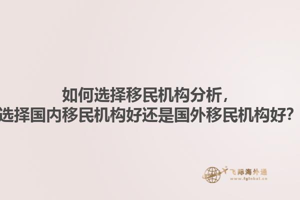 如何選擇移民機構分析，選擇國內移民機構好還是國外移民機構好？